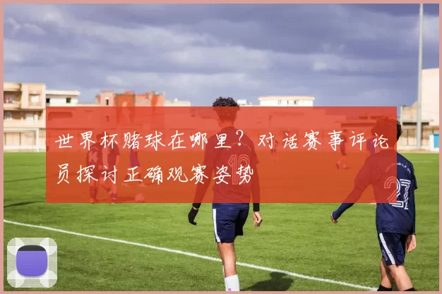 世界杯赌球在哪里?对话赛事评论员探讨正确观赛姿势