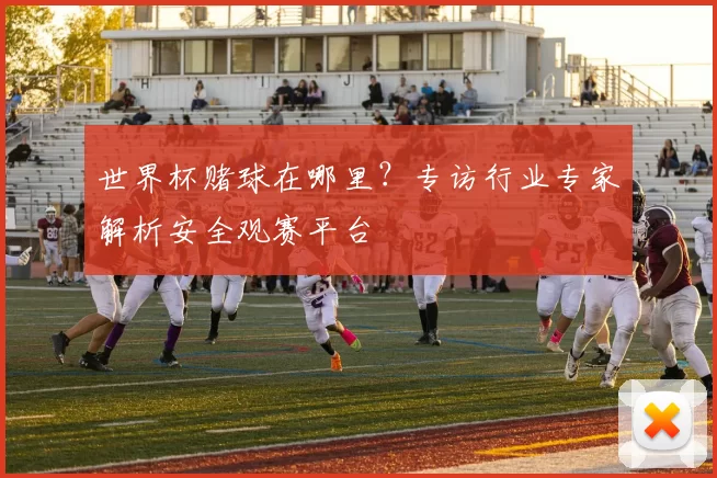 世界杯赌球在哪里？专访行业专家解析安全观赛平台