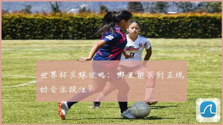 世界杯买球攻略：哪里能买到正规的合法投注？