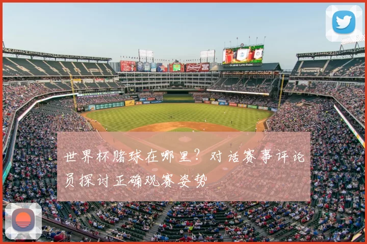 世界杯赌球在哪里？对话赛事评论员探讨正确观赛姿势