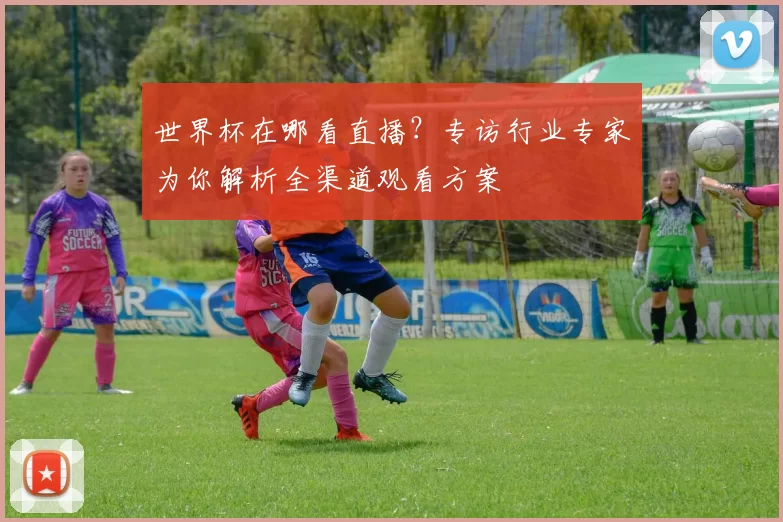 世界杯在哪看直播？专访行业专家为你解析全渠道观看方案