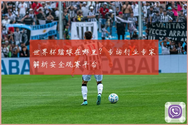 世界杯赌球在哪里？专访行业专家解析安全观赛平台