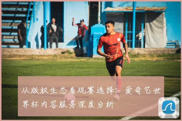 从版权生态看观赛选择：爱奇艺世界杯内容服务深度分析