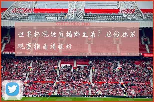 世界杯现场直播哪里看?这份独家观赛指南请收好