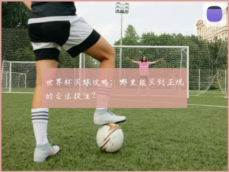 世界杯买球攻略：哪里能买到正规的合法投注？